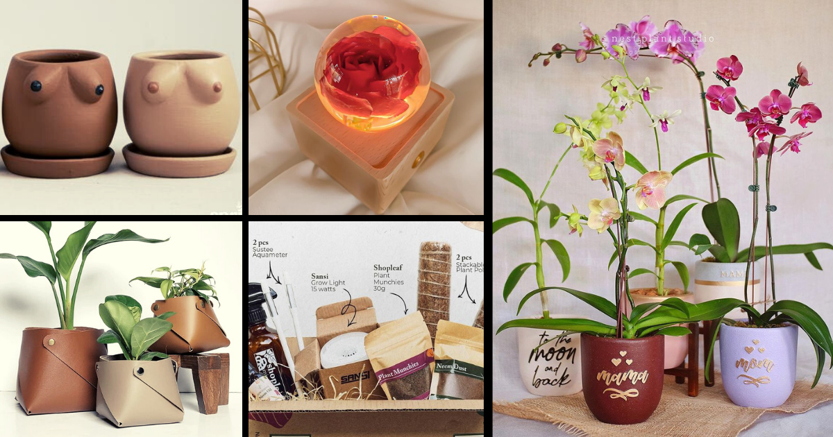 Don’t know what to get plant moms for Mother’s Day? Here are some